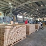 Wood essence extracted with REGIO funding