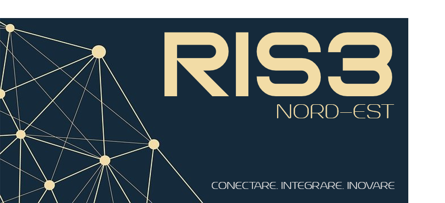 RIS3 logo